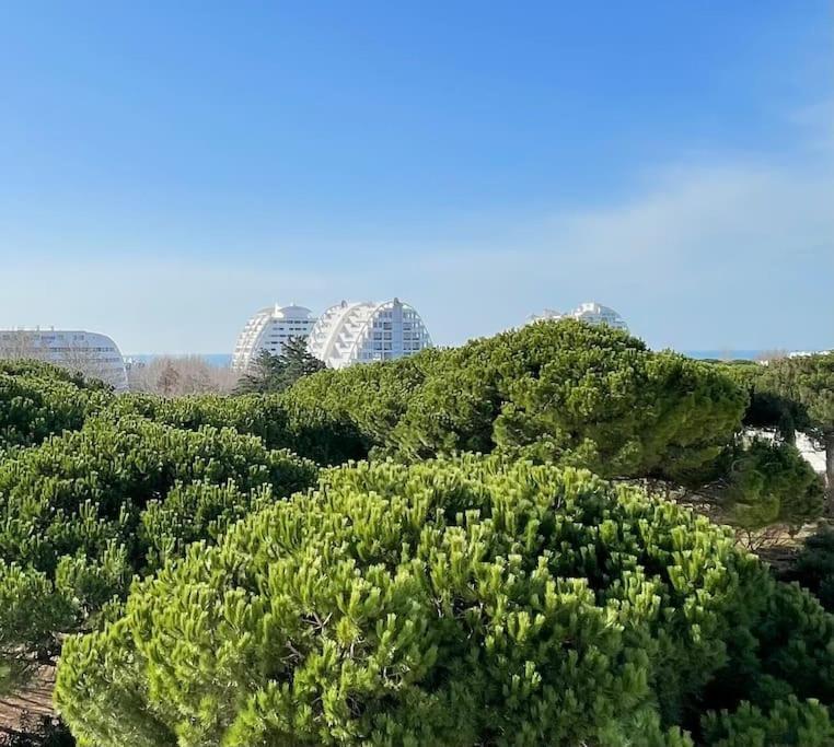 Les Jardins Du Couchant * Proche Mer * Climatisation * Parking Prive La Grande Motte Dış mekan fotoğraf